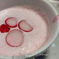 Crème de radis - ComPhyl