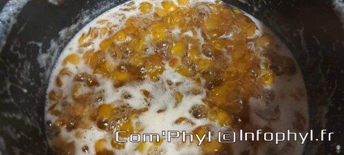 Cuisson confiture mirabelle