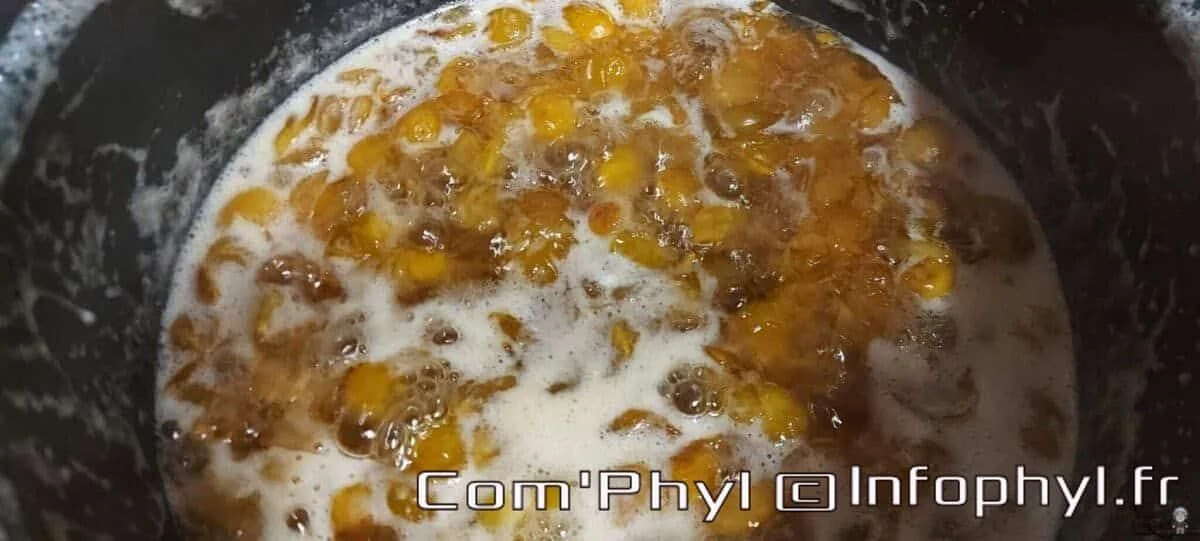 Confiture de mirabelles