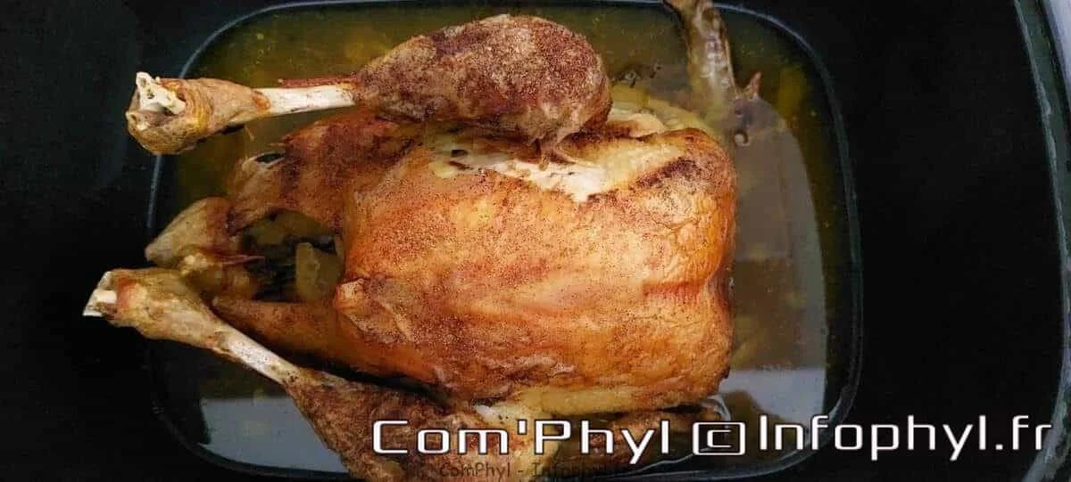 Poulet rôti façon Ninja foodi
