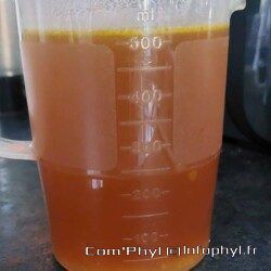 bouillon de légumes