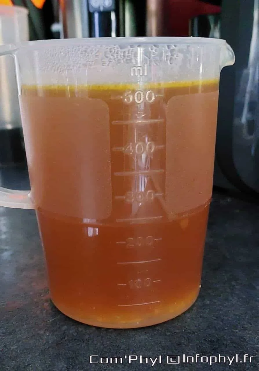 bouillon de légumes
