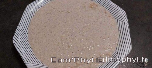 riz au lait cuisson ninja foodi