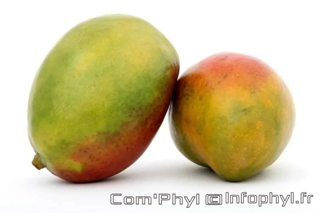 Coulis de mangue
