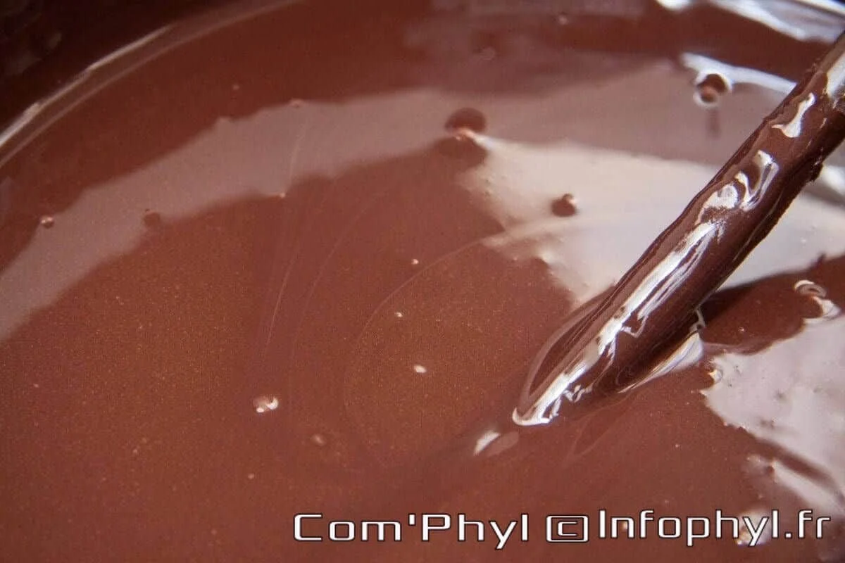 Chocolat – Illustration
