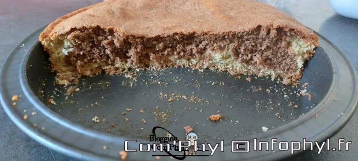 Gâteau marbré maison
