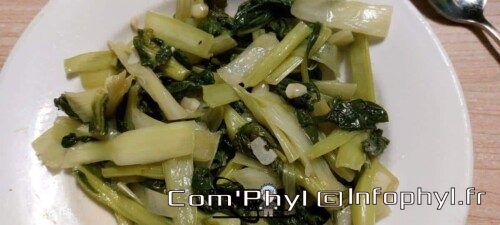 chou chinois pak choi au wok