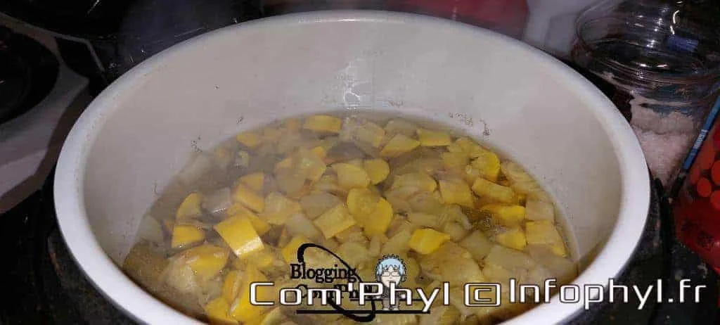 Nninja Foodi courgettes fenouil