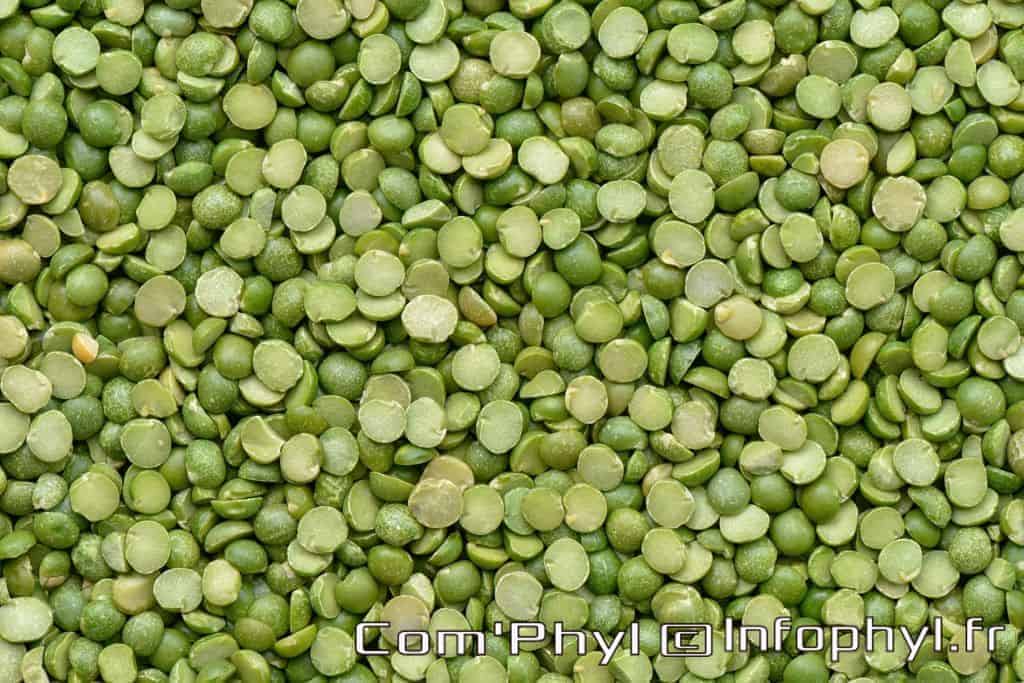le pois casses