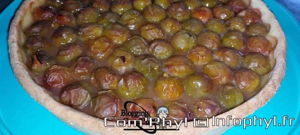 tarteauxprunes 20220712 tb