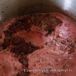 confiture de framboises