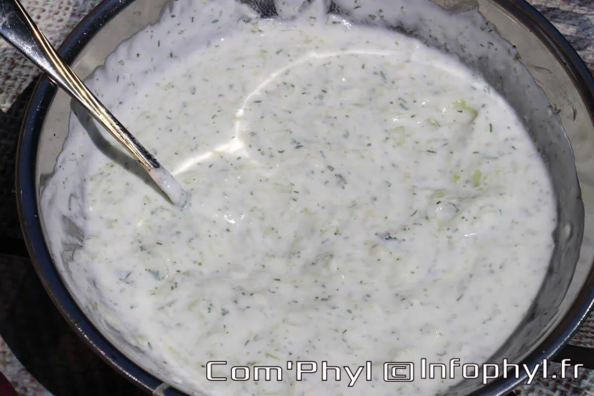 zaziki recette