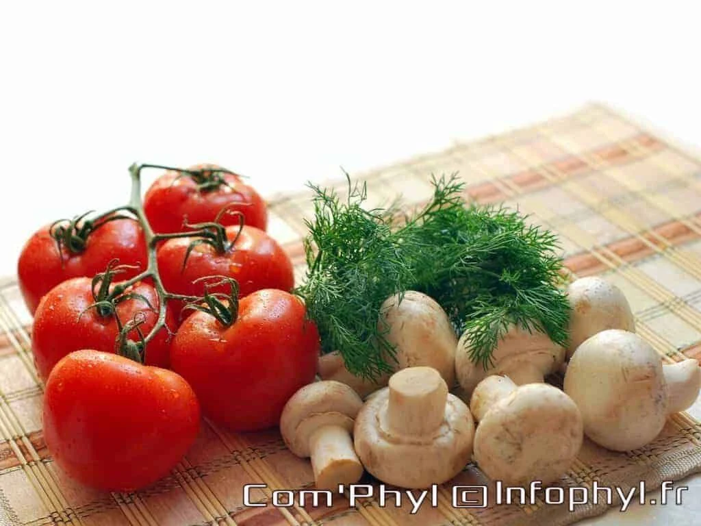 mushrooms 1351561 1280