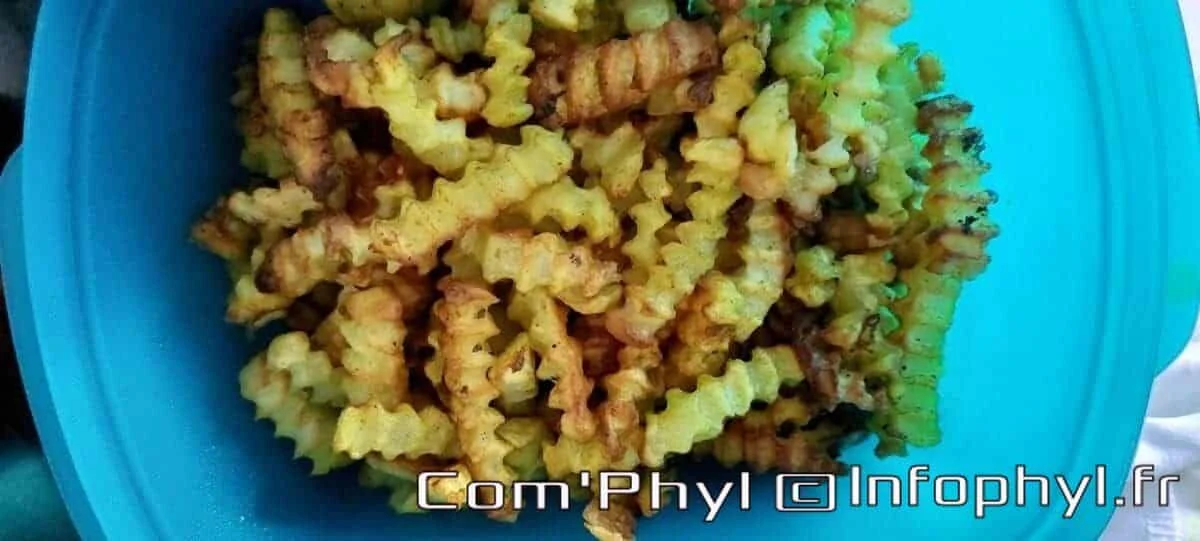 Frite au four – Ninja Foodi