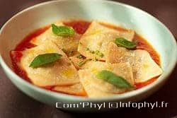 Ravioli - Illustration