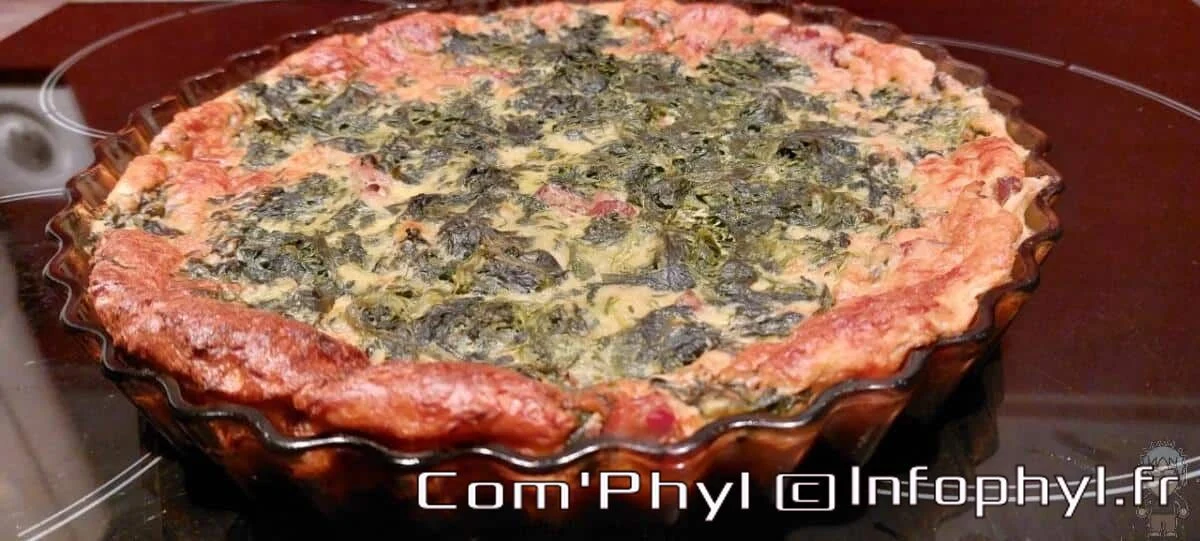 quiche sans pâte andouille épinard