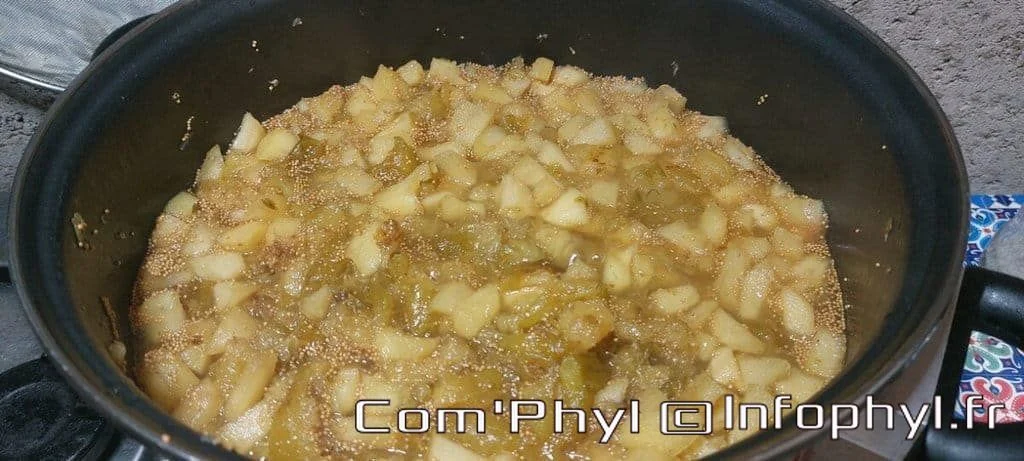 Compote de figues et pommes