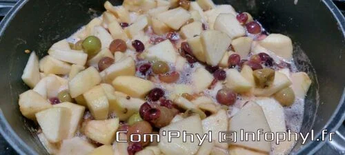 compote pommes et raisins