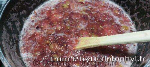 compote pommes et raisins cuite