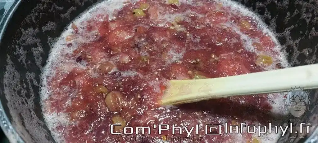 Compote de pommes et raisins