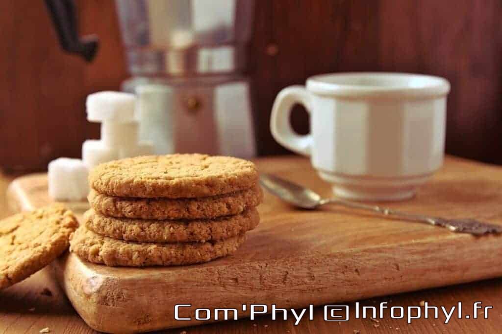 oatmeal biscuits 7913948 1280