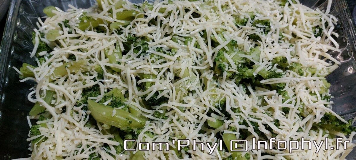 Brocolis gratiné