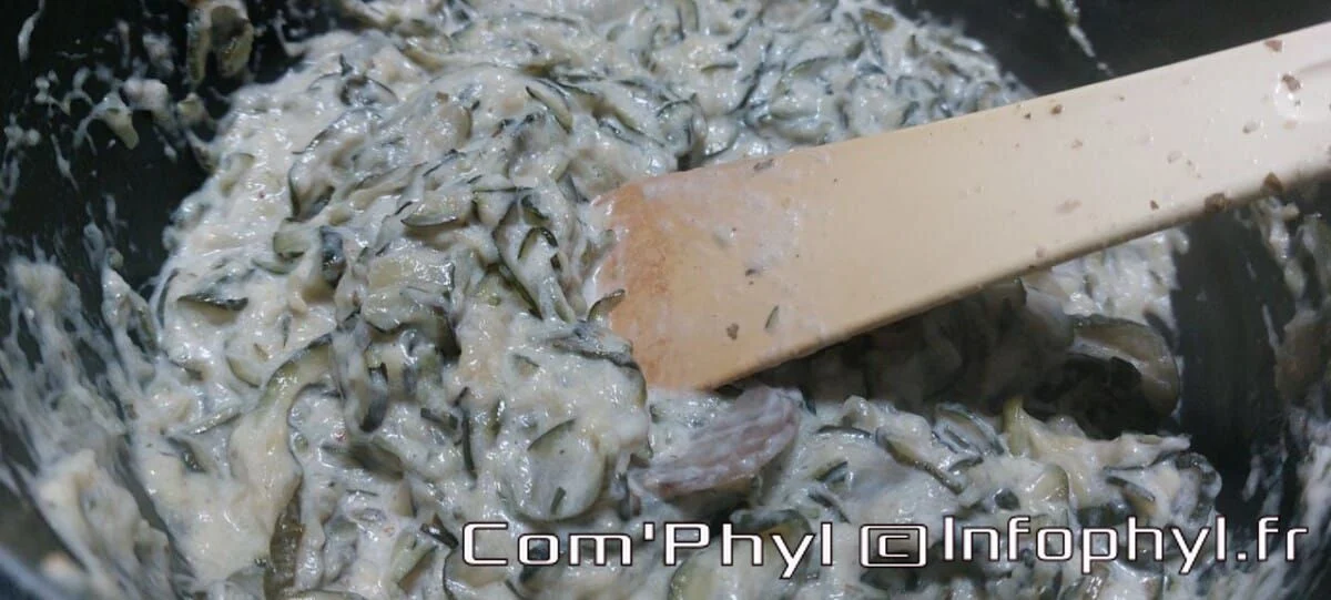 concombrelaitcoco2