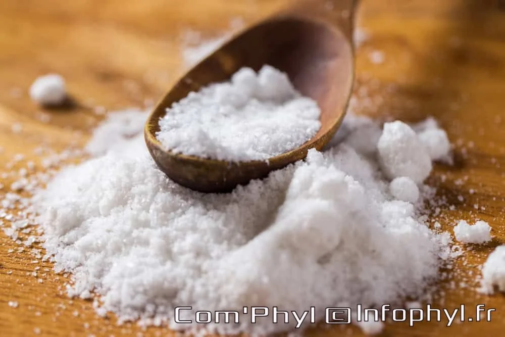 Les sels avec des épices et aromates