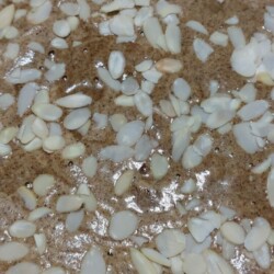 gateau au noix 1.jpg compressed