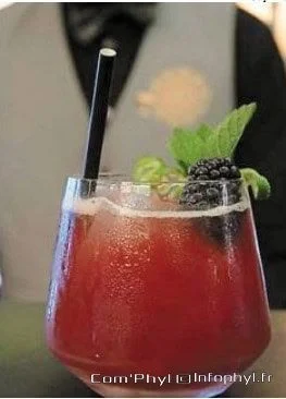 Cocktail Red Light