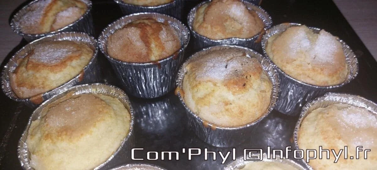 Muffins à la fleur d&rsquo;oranger