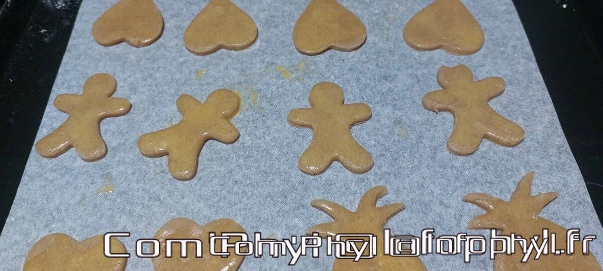 Sablée de Noël à la cannelle