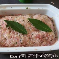 terrine de viande crue