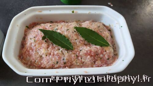terrine de viande crue