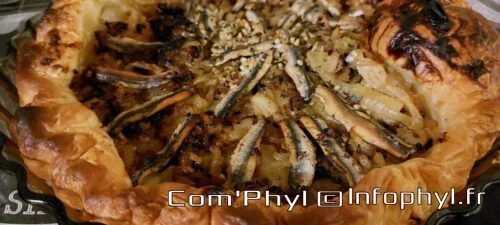 pissaladiere 2