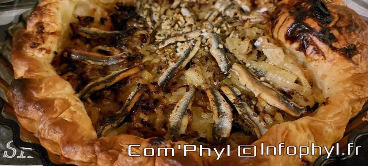 La pissaladière