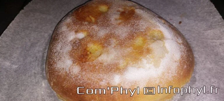 cake aux patates douces,gâteau patate douce,cake moelleux,dessert maison,vanille,rhum,gâteau fondant.