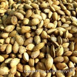 plant fruit food produce crop agriculture 1078867 pxhere.com