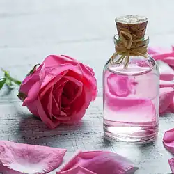 eau de rose ilustration